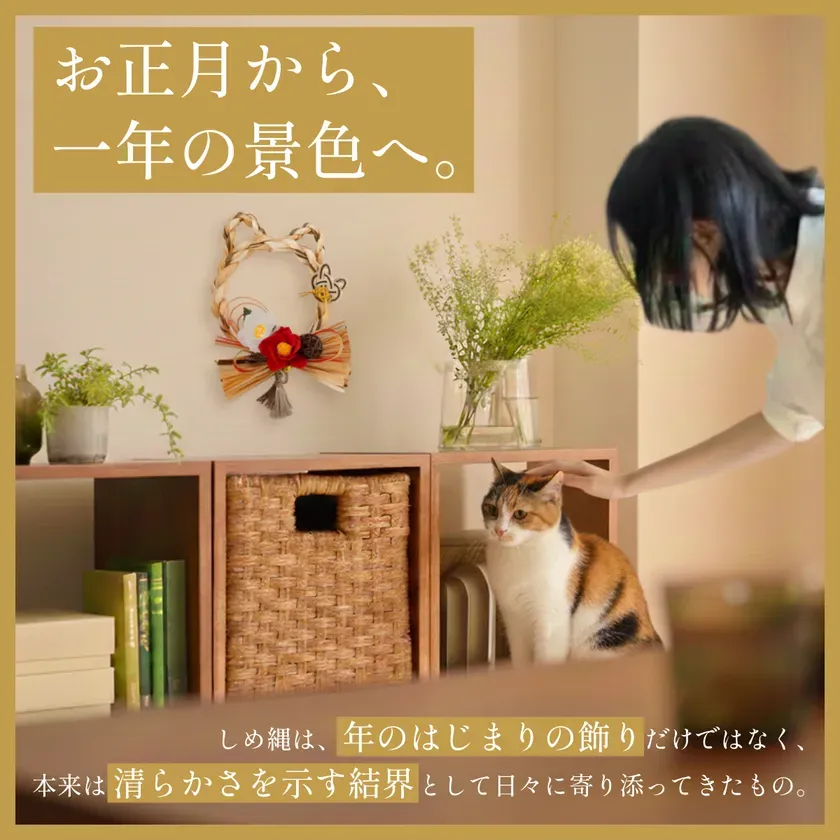 お正月飾りと猫がいる部屋