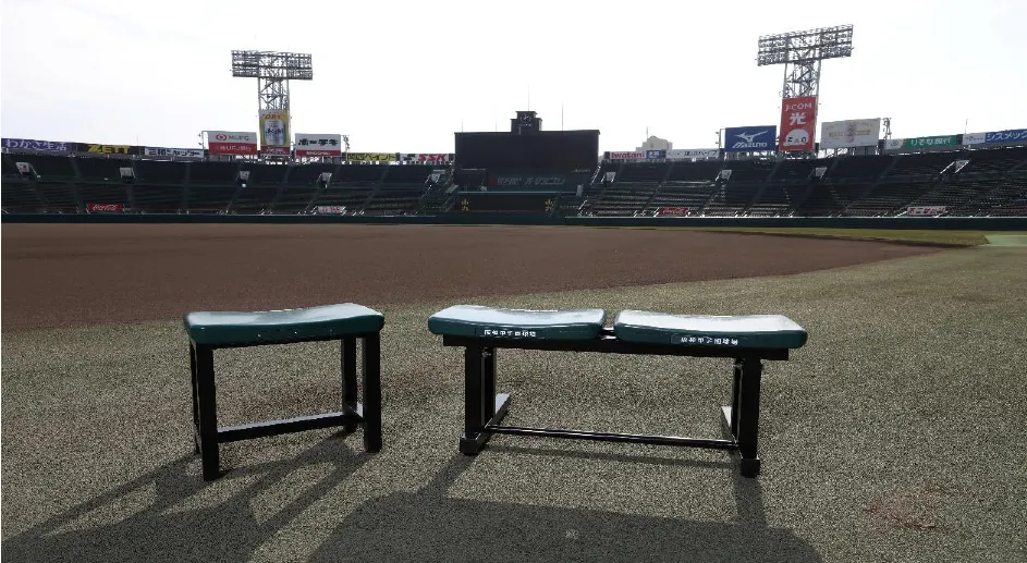 甲子園の“あの席”が我が家に!名入れもできるリユースベンチ登場