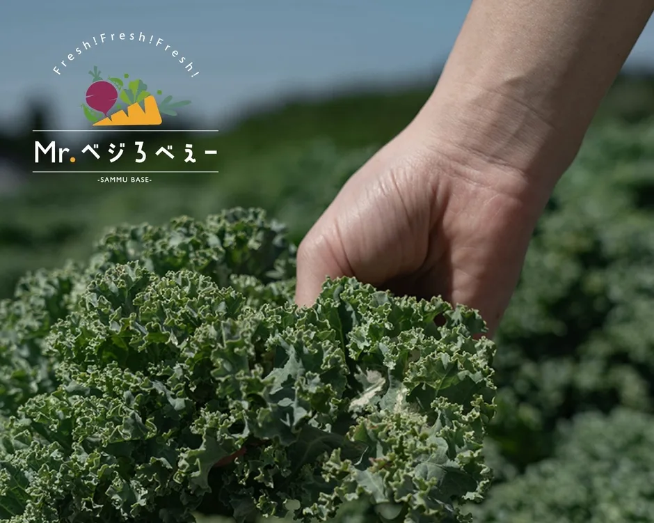 自社農園のケール