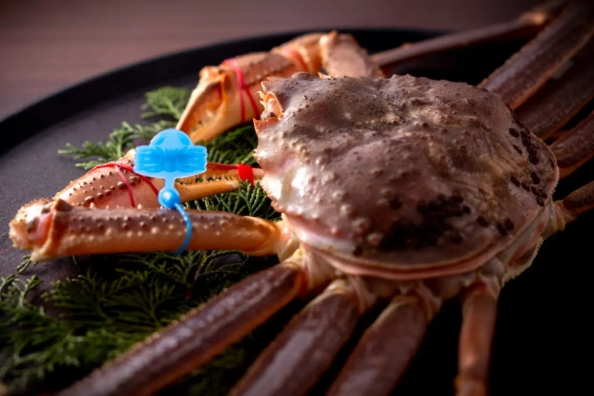 カニ食べ納めは京都で。松葉蟹と但馬牛の贅沢会席が限定登場